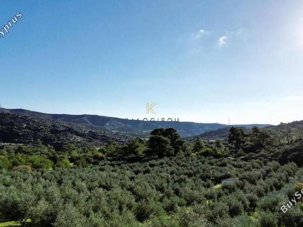 land for sale kalavasos larnaca 1511522 image 13067863