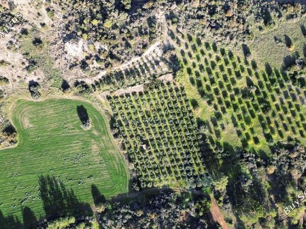 land for sale kalavasos larnaca 1511522 image 13067864