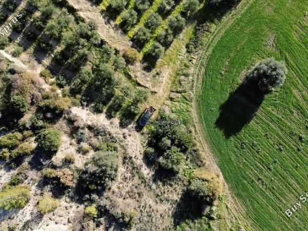 land for sale kalavasos larnaca 1511522 image 13067865