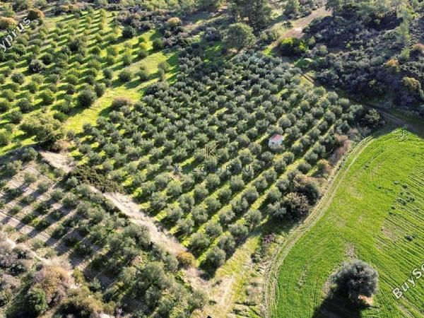 land for sale kalavasos larnaca 1511522 image 13067867