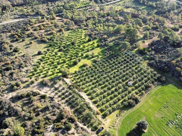 land for sale kalavasos larnaca 1511522 image 13067868