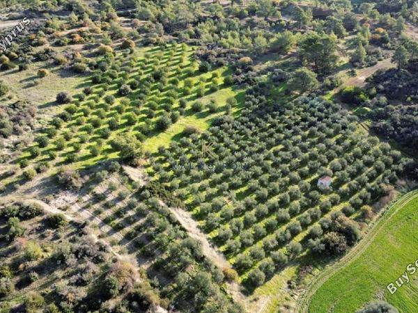 land for sale kalavasos larnaca 1511522 image 13067869