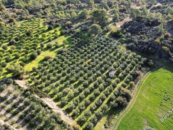land for sale kalavasos larnaca 1511522 image 13067870