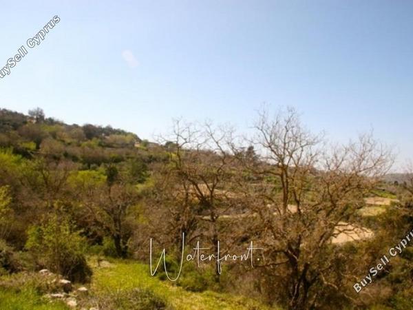 land for sale koili paphos 8959522 image 17782243