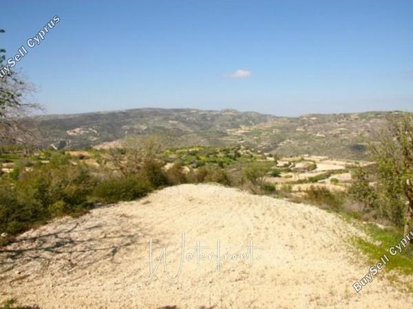 land for sale koili paphos 8959522 image 17782244