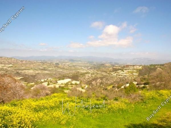 land for sale koili paphos 8959522 image 17782245
