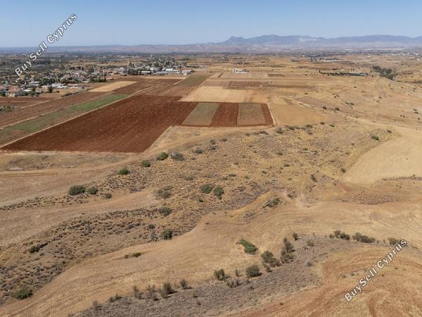 land for sale orounta nicosia 8620522 image 15823799