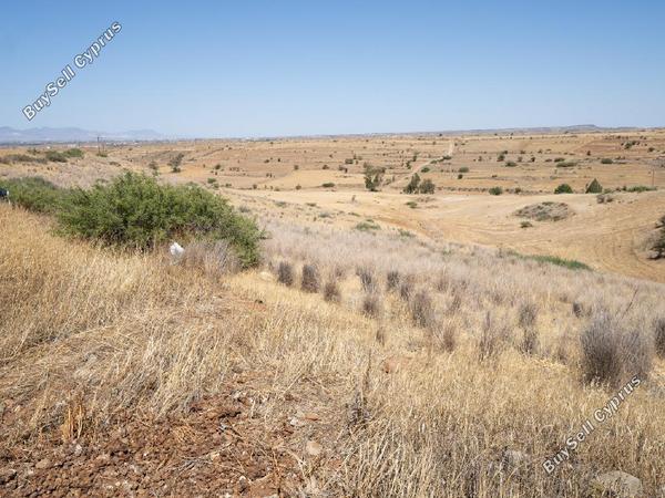 land for sale orounta nicosia 8620522 image 15823803