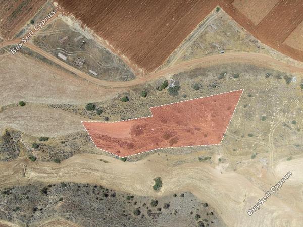 land for sale orounta nicosia 8620522 image 15823808