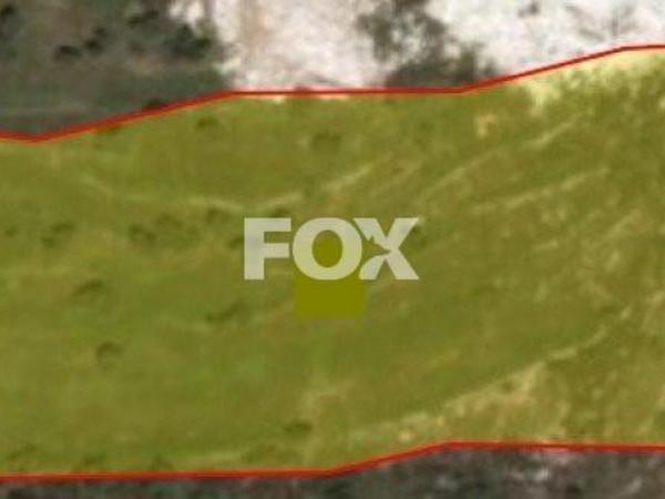 land for sale pachna limassol 1146522 image 5495752