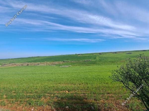 land for sale peristerona lefkosias nicosia 8244522 image 13833346