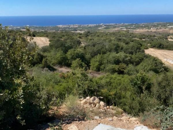 land for sale tremithousa paphos 8395522 image 15534075