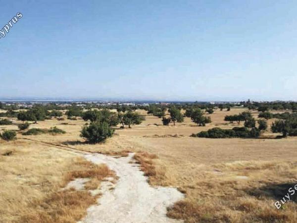 land for sale ypsonas limassol 1313522 image 13230131