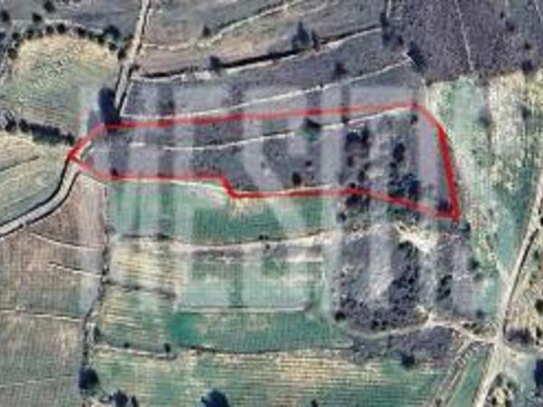 plot for sale pachna limassol 1800522 image 10532981