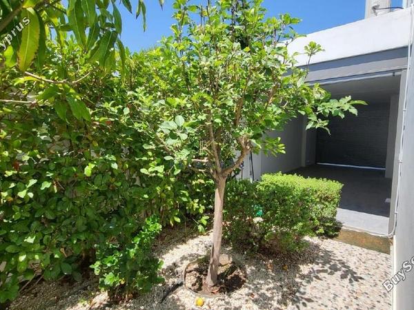 4 bedroom detached house for sale livadia larnacas larnaca 1196622 image 5599243