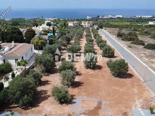 7 bedroom detached house for sale saint george peyia paphos 8219622 image 13737538