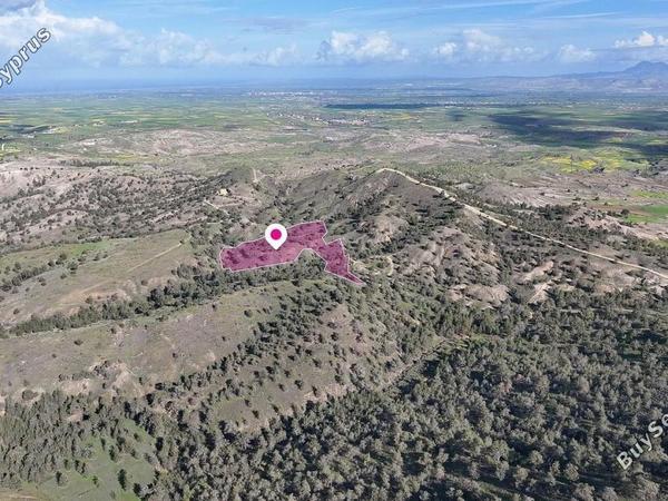 land for sale agia marina xyliatou nicosia 8628622 image 15863189