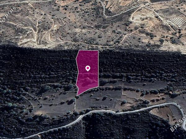 land for sale anogyra limassol 1183622 image 14113847