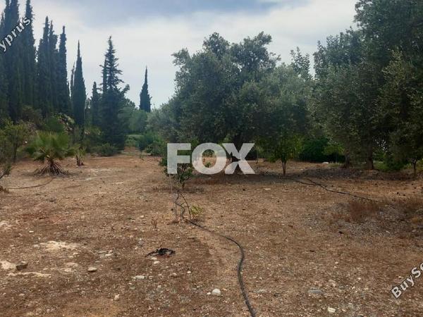 land for sale kouklia pafou paphos 7703622 image 10008813