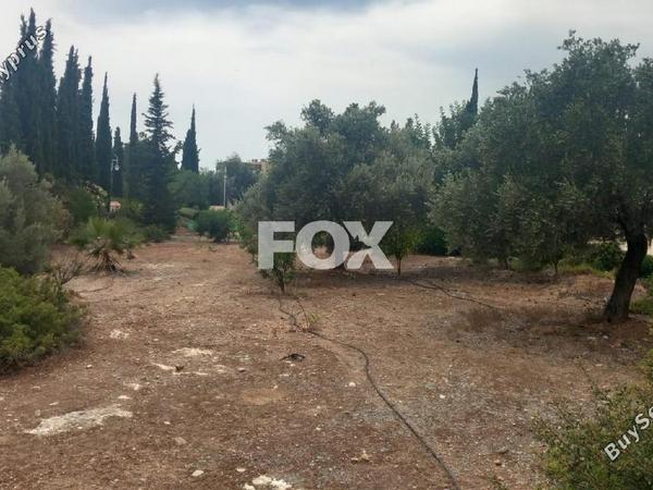 land for sale kouklia pafou paphos 7703622 image 10008814
