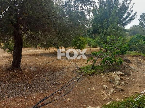 land for sale kouklia pafou paphos 7703622 image 10008815