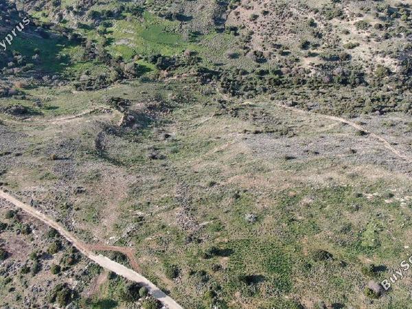 land for sale peyia paphos 8237622 image 14231566