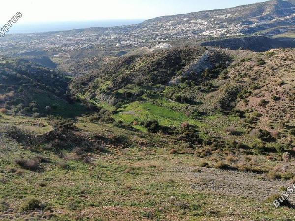 land for sale peyia paphos 8237622 image 14231570