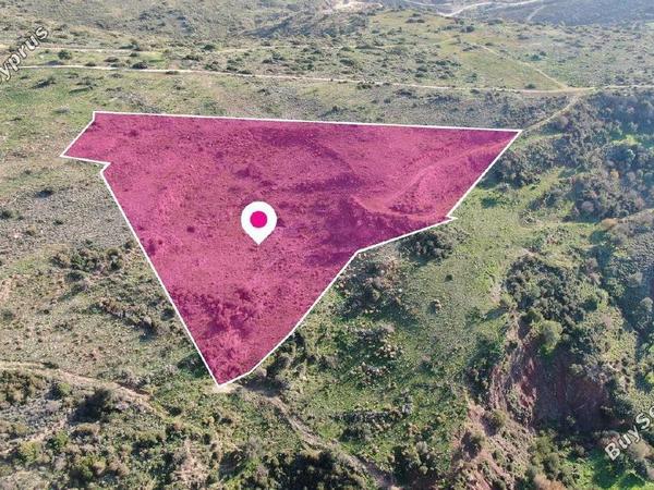 land for sale peyia paphos 8237622 image 14231573
