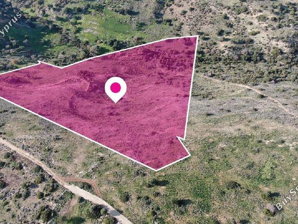 land for sale peyia paphos 8237622 image 14231575