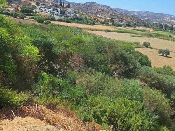land for sale pissouri limassol 1435622 image 2764135