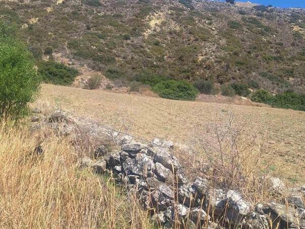 land for sale pissouri limassol 1435622 image 2764137