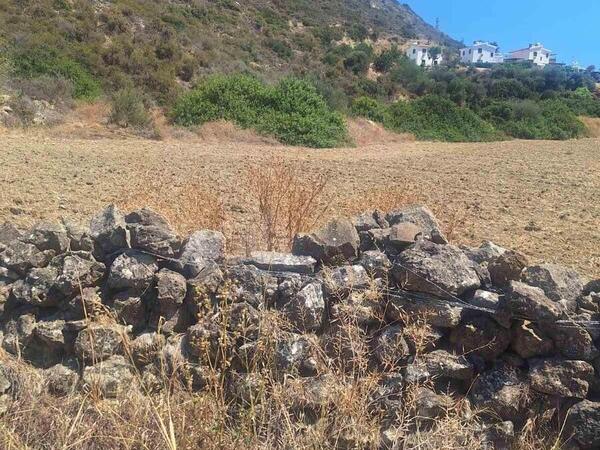 land for sale pissouri limassol 1435622 image 2764140
