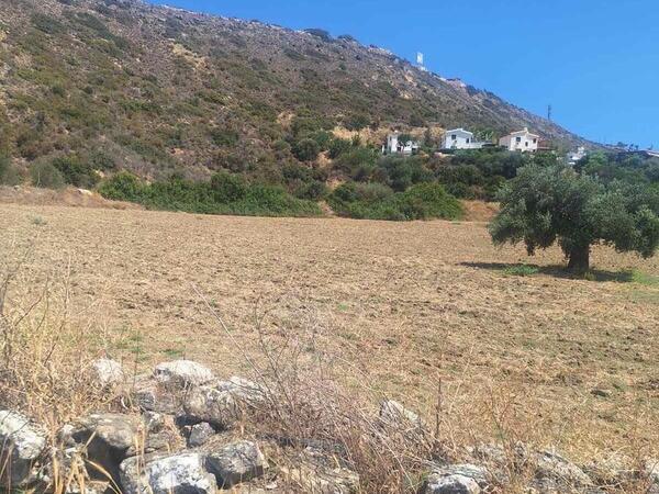 land for sale pissouri limassol 1435622 image 2764141