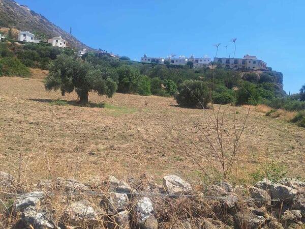 land for sale pissouri limassol 1435622 image 2764142