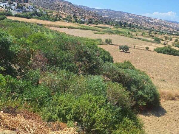 land for sale pissouri limassol 1435622 image 2764143