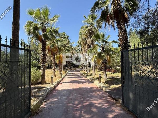 4 bedroom detached house for rent kato polemidia limassol 8771722 image 16579152