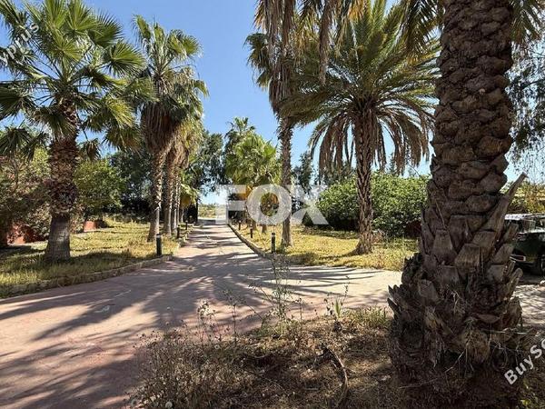 4 bedroom detached house for rent kato polemidia limassol 8771722 image 16579168