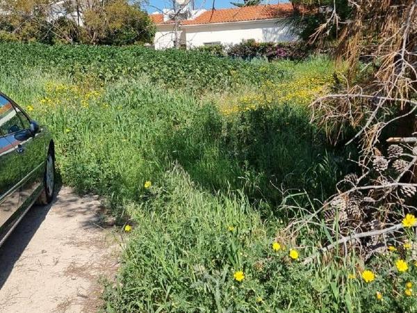 plot for sale coral bay paphos 7546722 image 14374030
