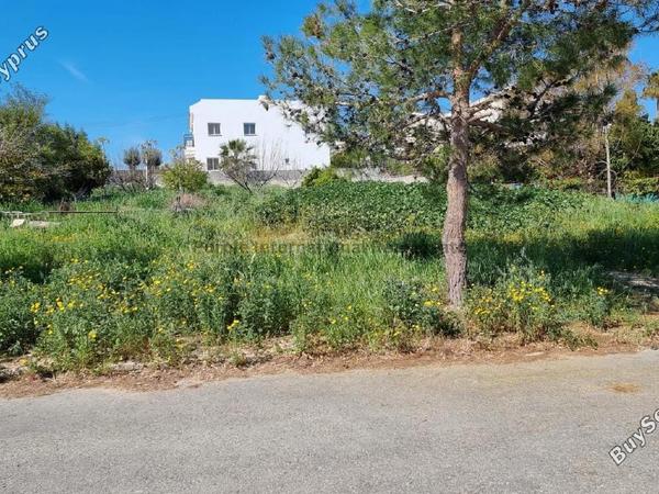 plot for sale coral bay paphos 7546722 image 14374037