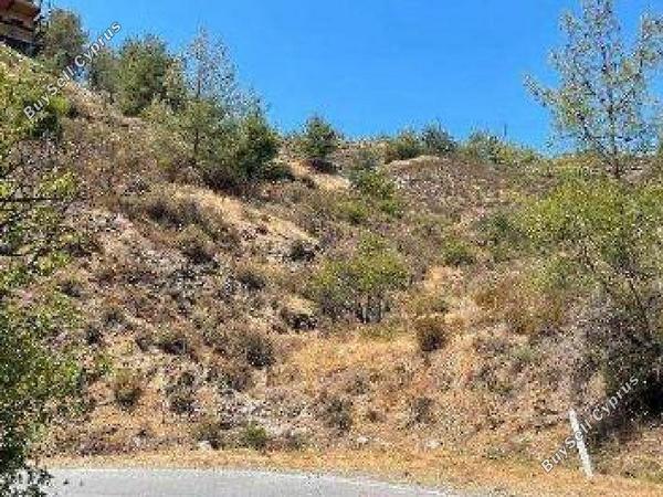 land for sale palaichori oreinis nicosia 8174822 image 13550474