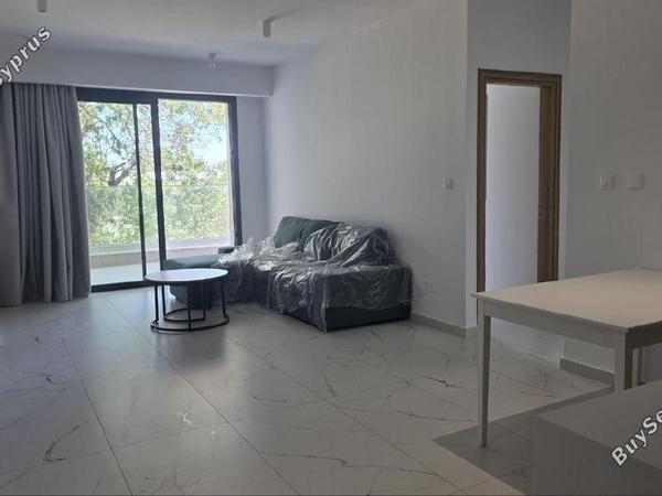 2 bedroom apartment for rent paphos municipality paphos 8765922 image 16569821
