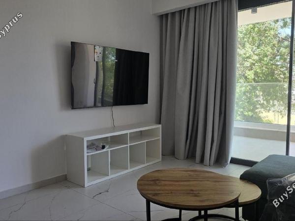 2 bedroom apartment for rent paphos municipality paphos 8765922 image 16569825