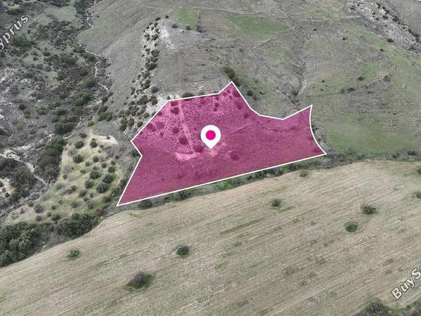 land for sale agios dimitrianos paphos 8531922 image 15468687