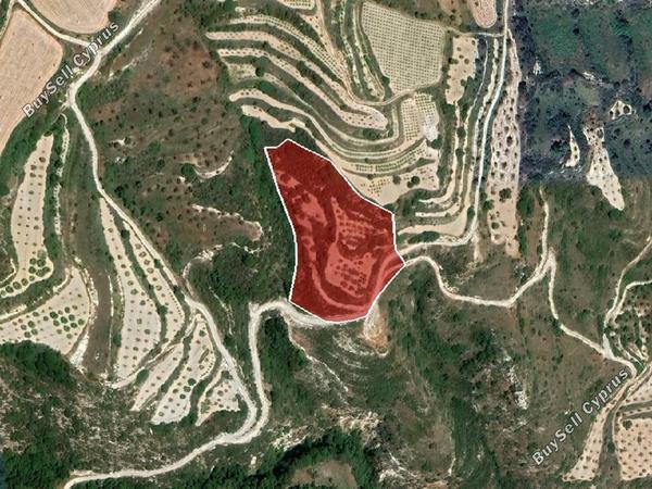 land for sale theletra paphos 1081922 image 15599654