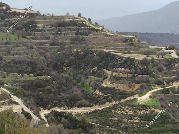 land for sale theletra paphos 1081922 image 15599655