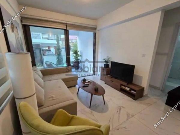 1 bedroom apartment for rent dasoupoli nicosia 8743032 image 16410195