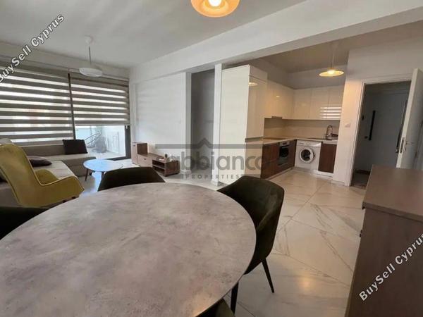 1 bedroom apartment for rent dasoupoli nicosia 8743032 image 16410202