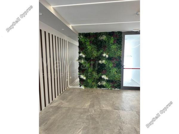 2 bedroom penthouse for sale livadia larnacas larnaca 8612032 image 15997678