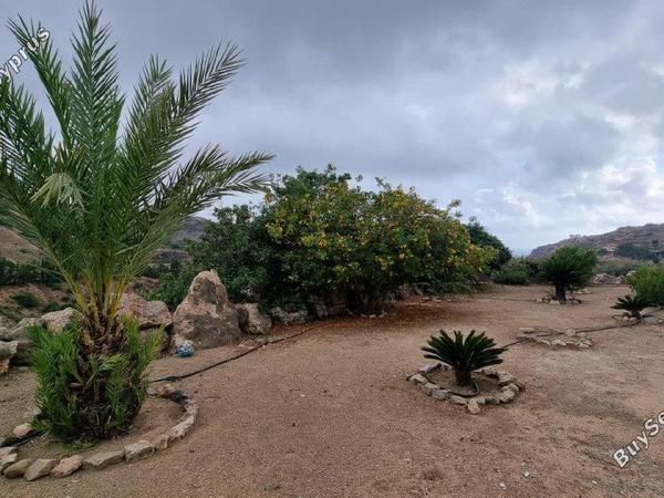 3 bedroom detached house for sale peyia paphos 1681032 image 4748390