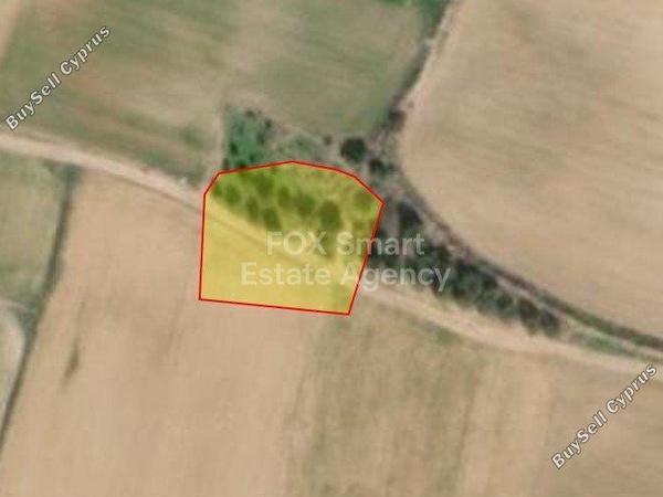 land for sale akaki nicosia 8670032 image 16023603